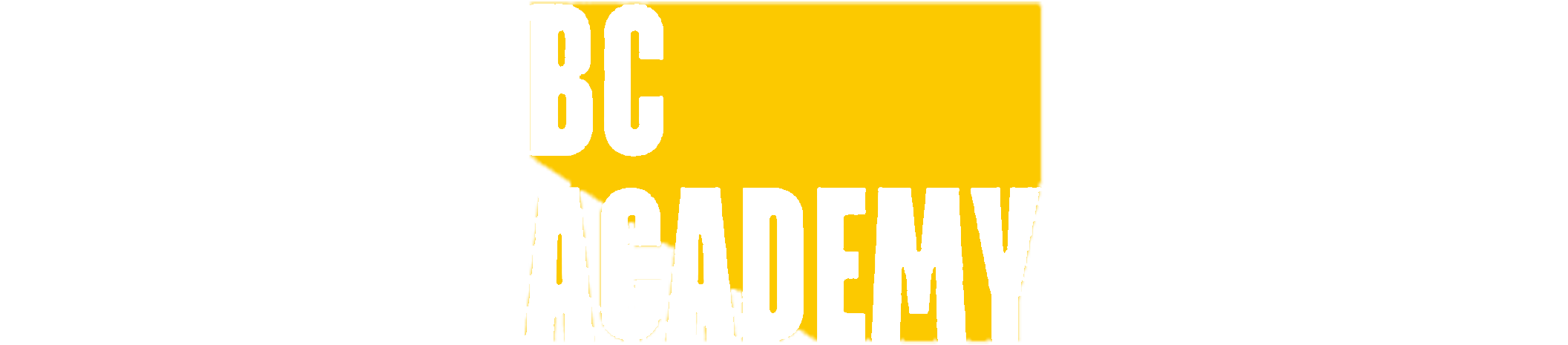 BC Acadmey Logo white